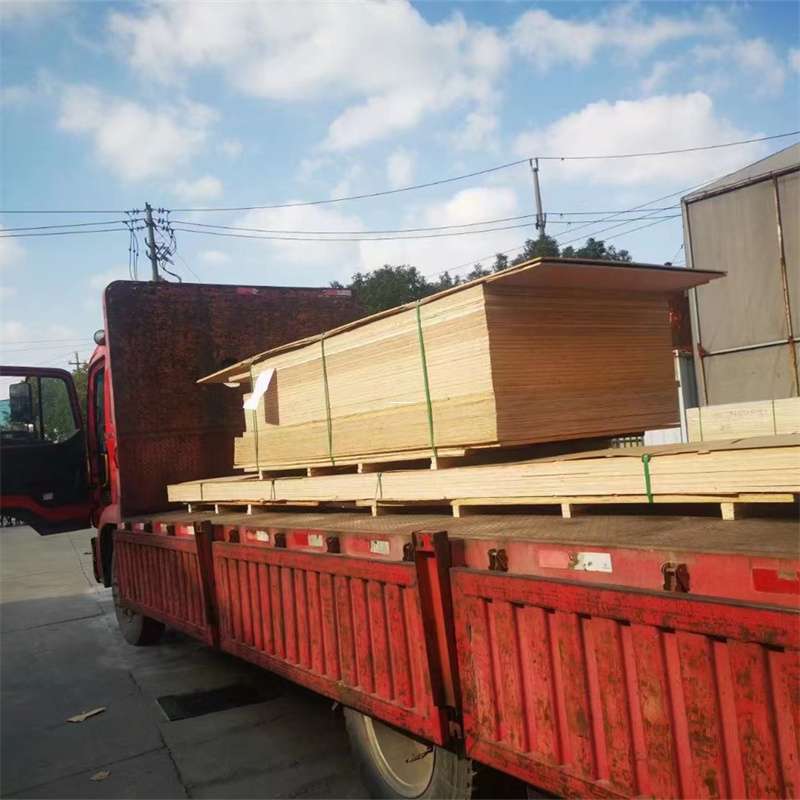 河北唐山路南至塔城货运专线，一站式物流服务助您成功